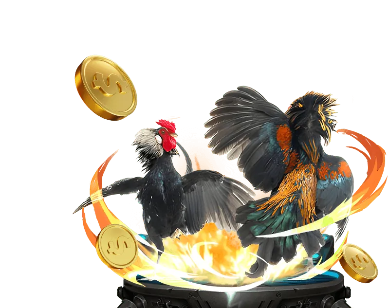 Các tính năng nổi bật của nền tảng cá cược